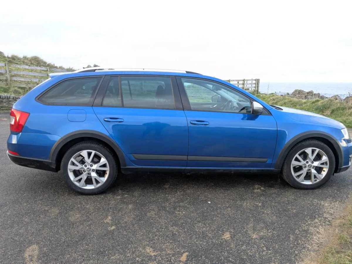 Skoda Octavia Scout - Image 2