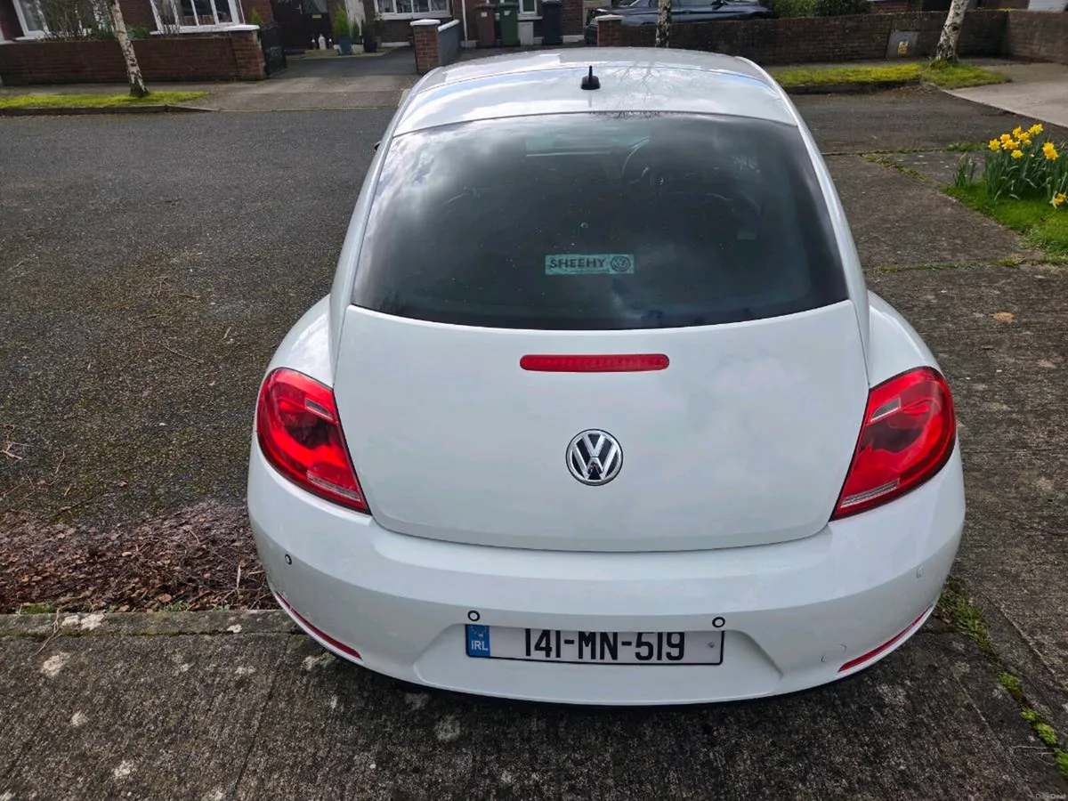 Volkswagen Beetle - Image 2