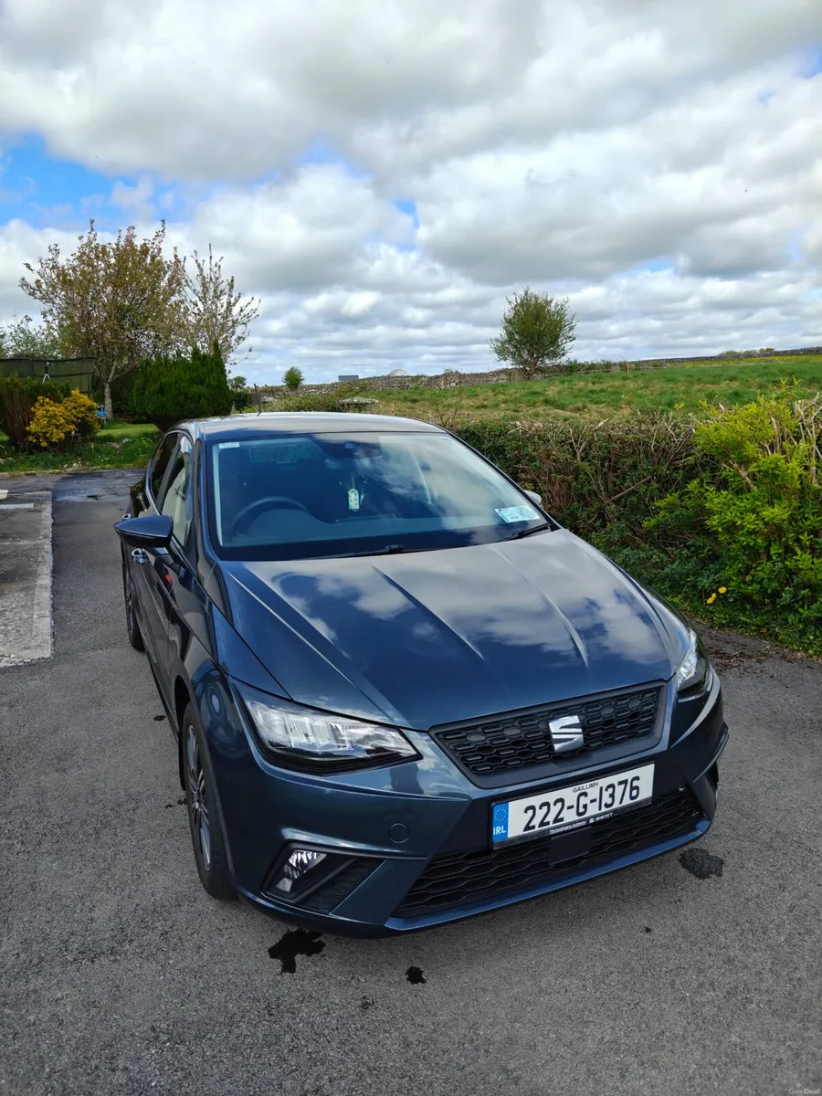 Seat Ibiza SE 1.0 L 2022 - Image 2