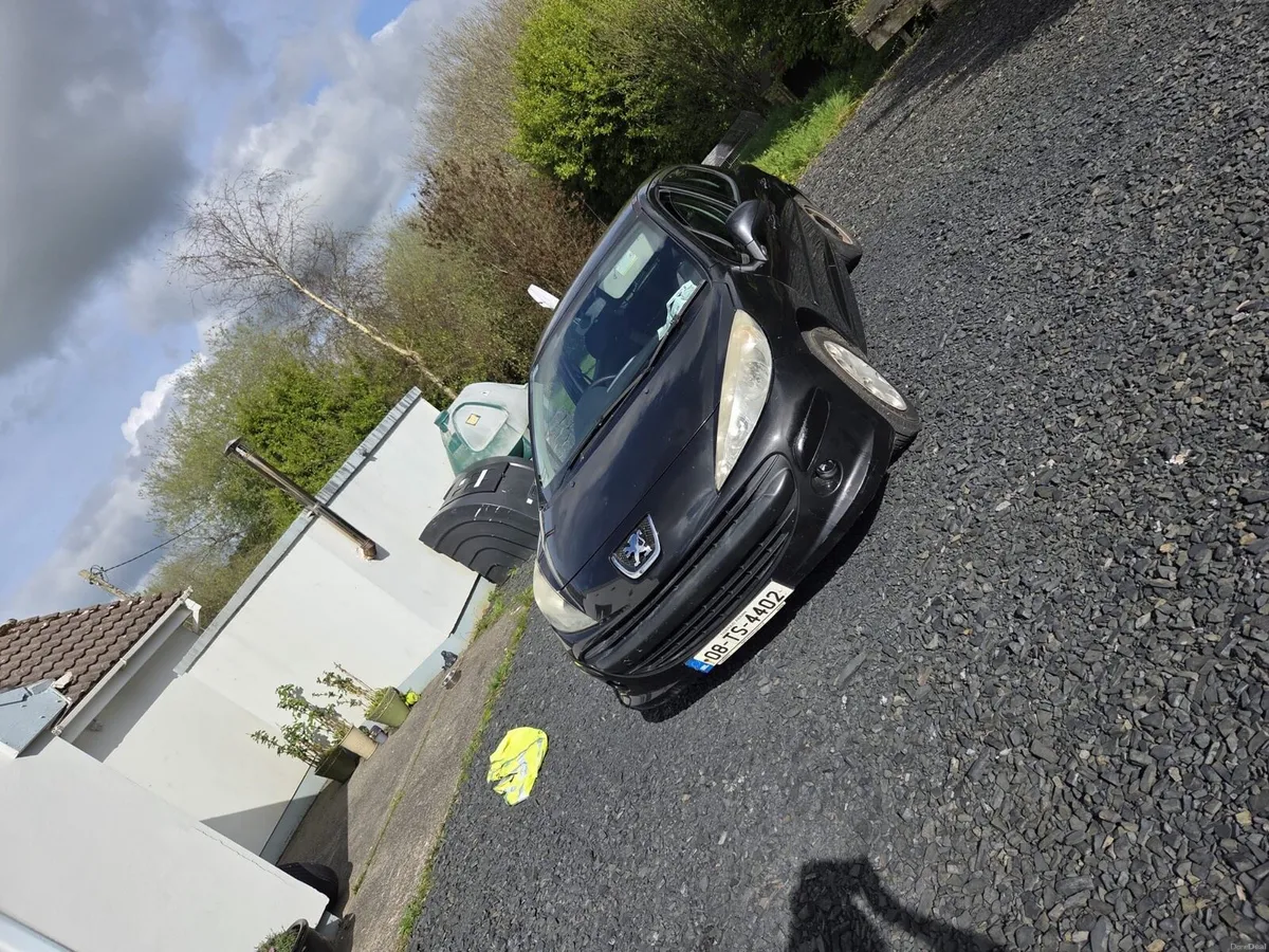 Peugeot 207 - Image 2