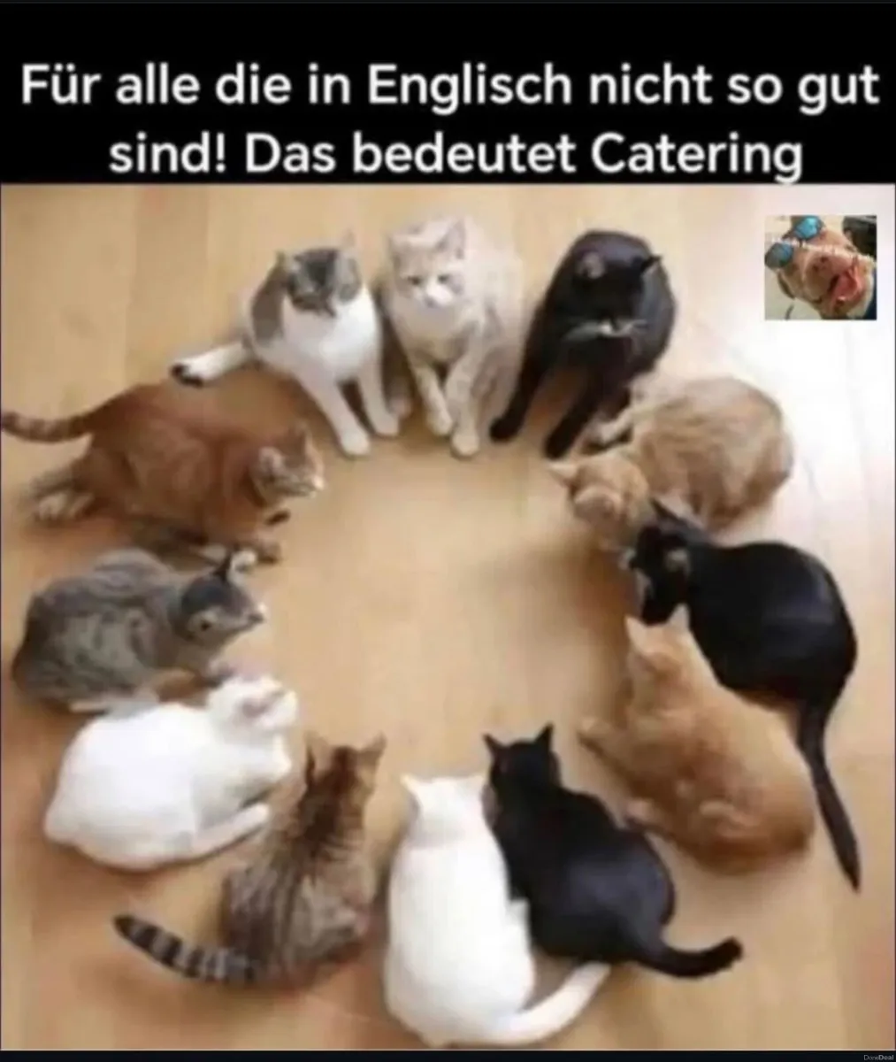 Mazda Mazda3 2007 - Image 1