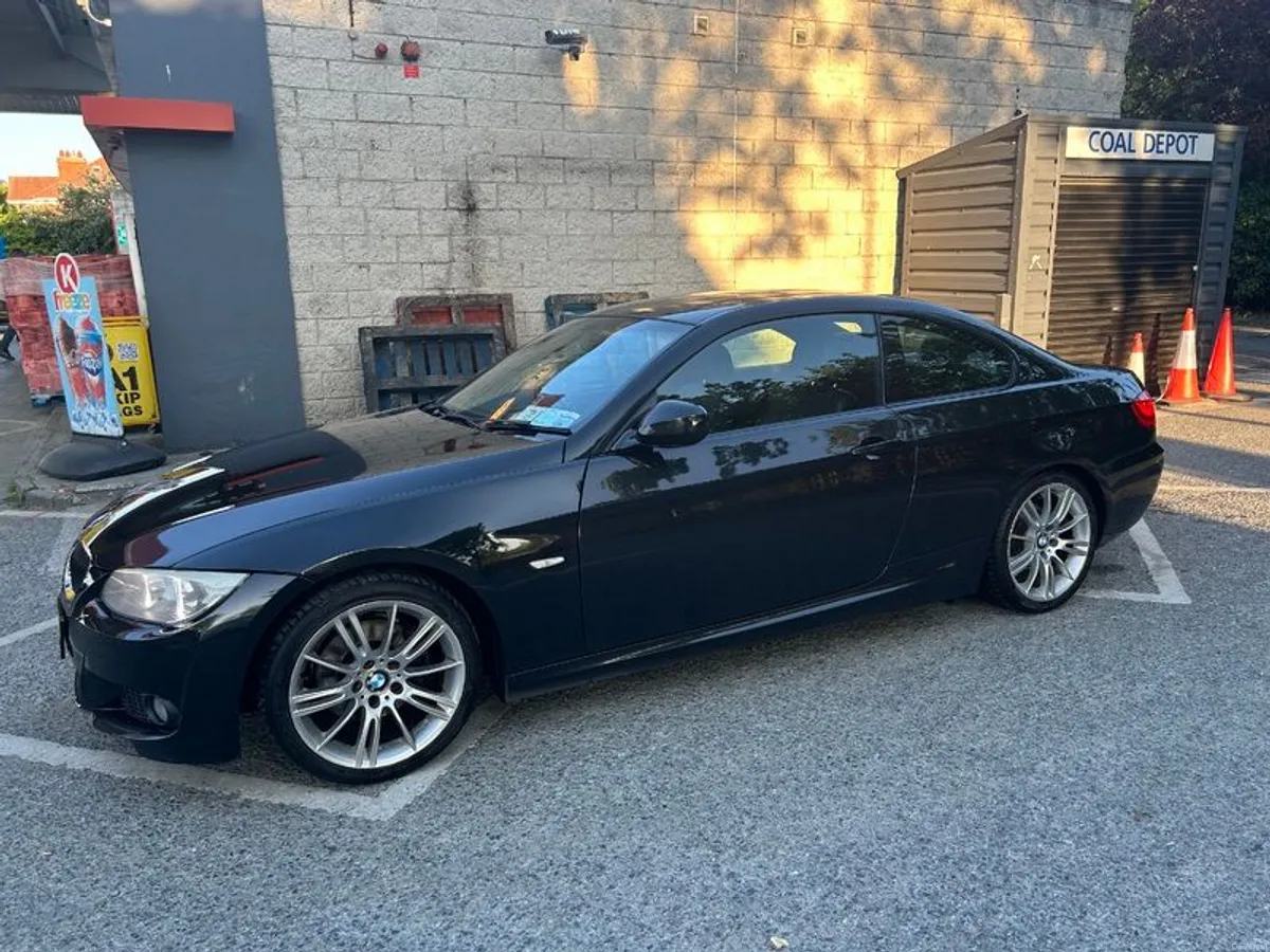 2010 Bmw 3-series - Image 2