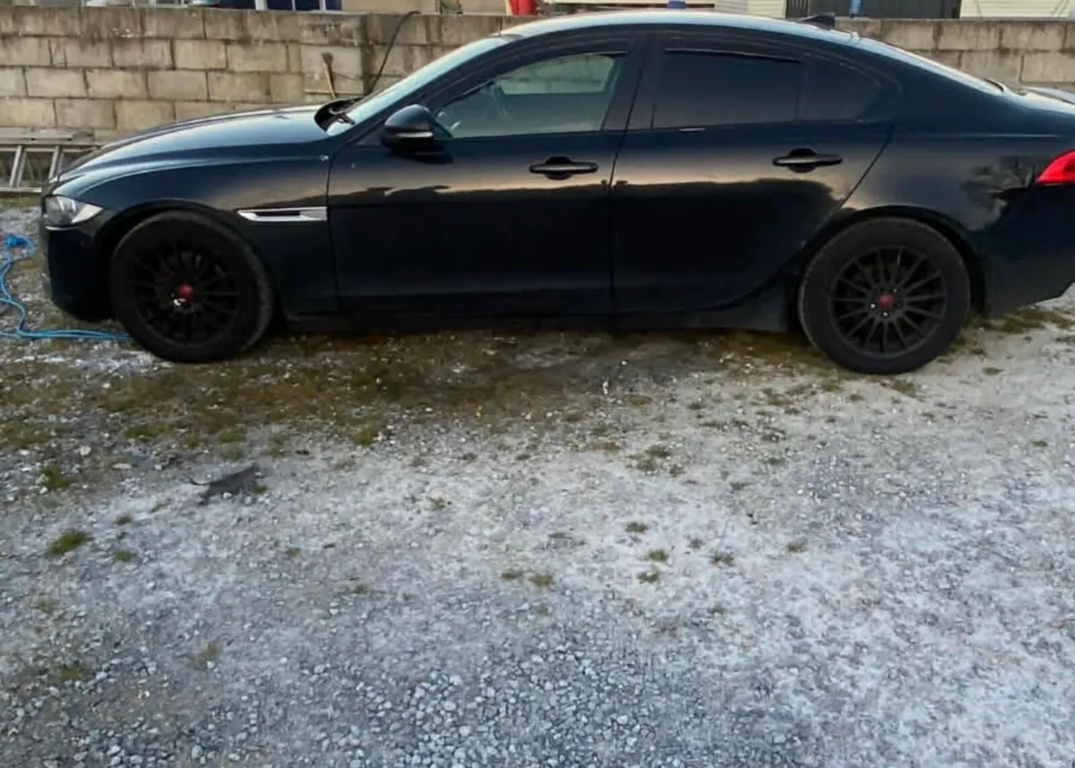 Jaguar - Image 2