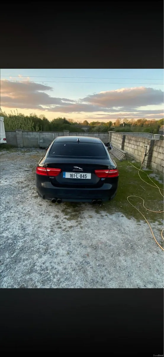 Jaguar - Image 4