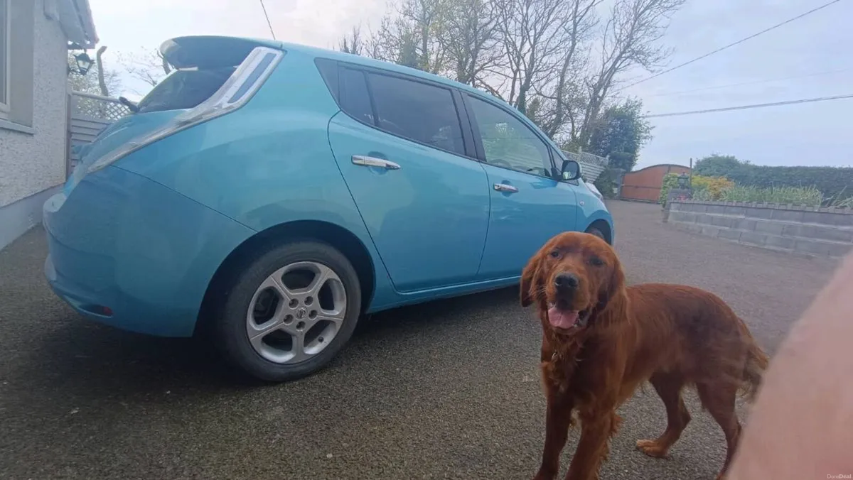 Nissan Leaf 31kwh - Image 2