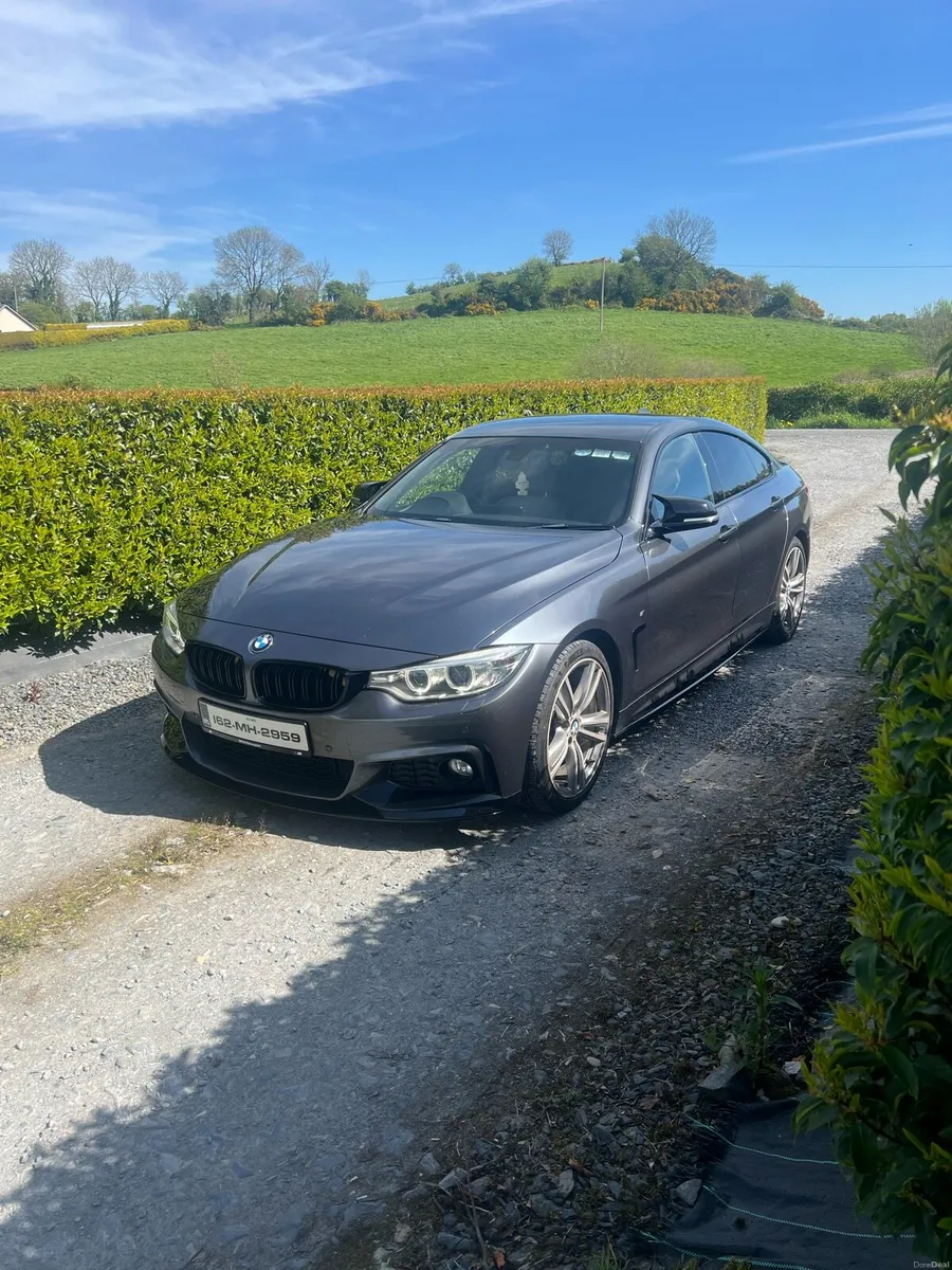 BMW 420d MSport- Gran Coupe-162 - Image 2