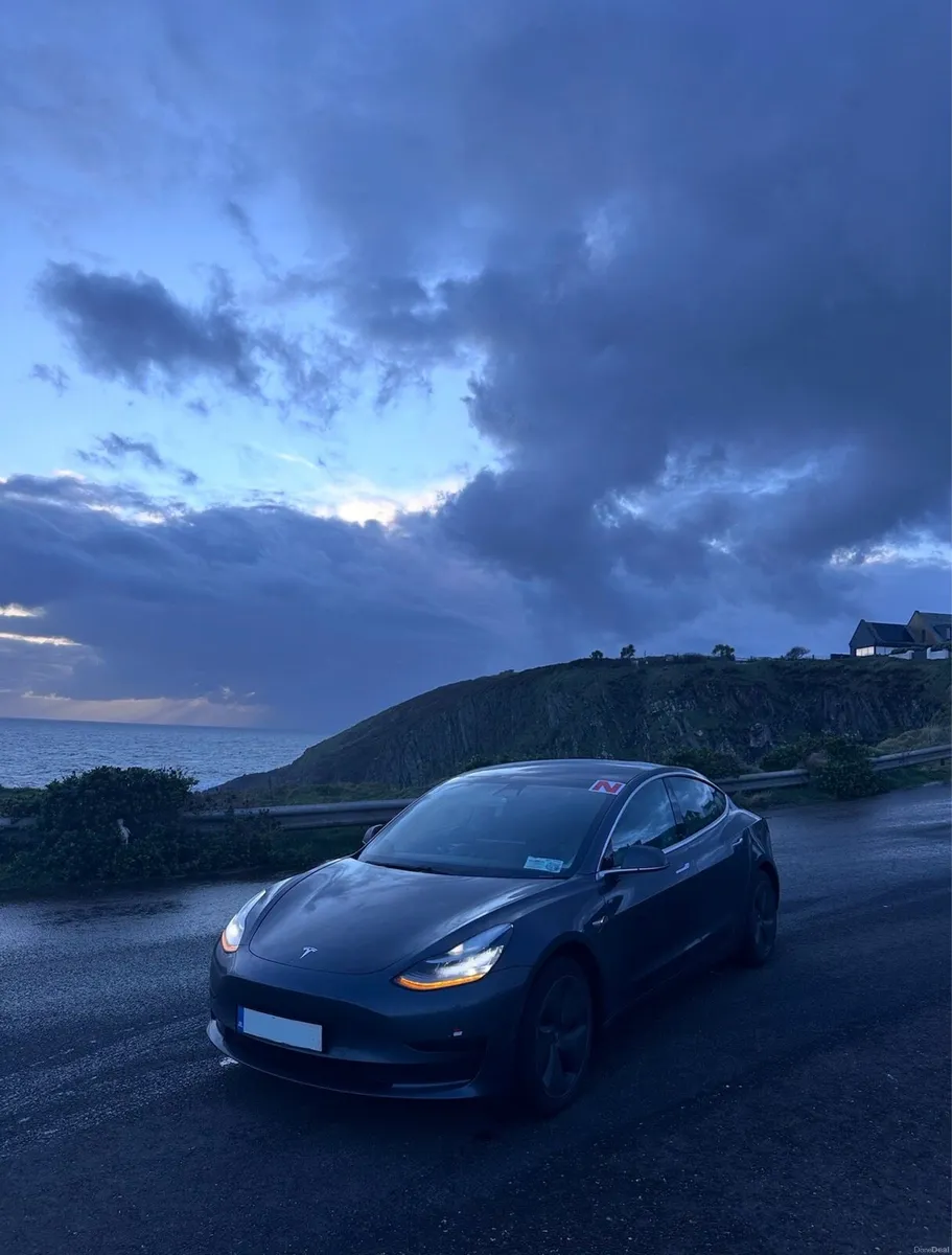 2019 Tesla Model 3 SR+ - Image 1
