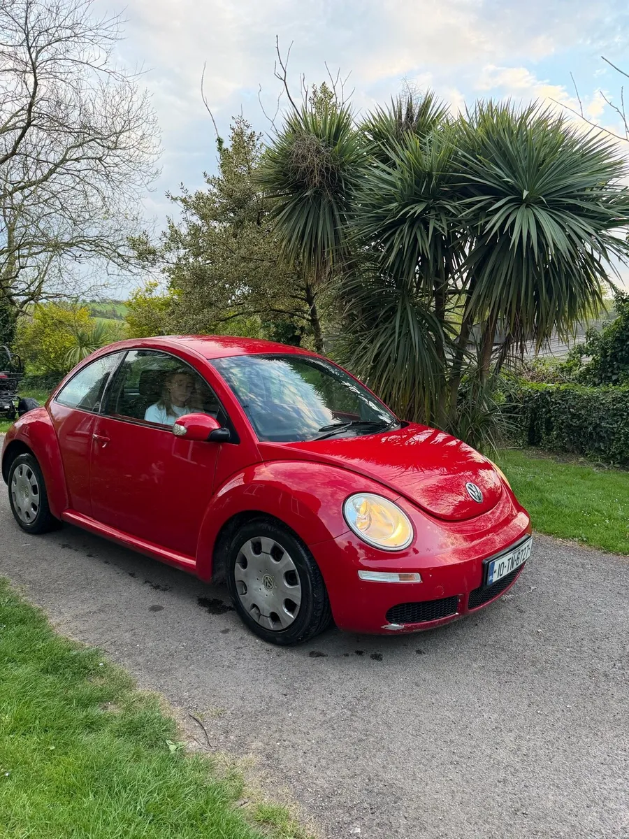 Volkswagen Beatle - Image 3