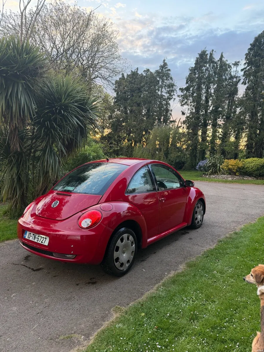 Volkswagen Beatle - Image 4