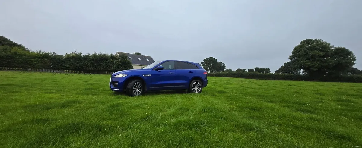 Jaguar F-Pace 2019 - Image 2