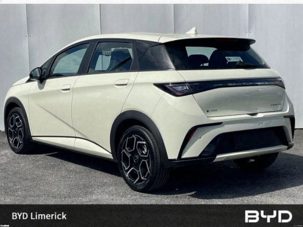 BYD DOLPHIN 1.0 - Image 3