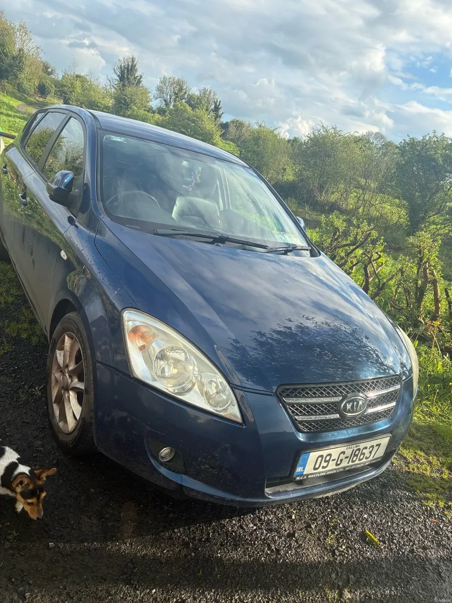 Kia Ceed - Image 1