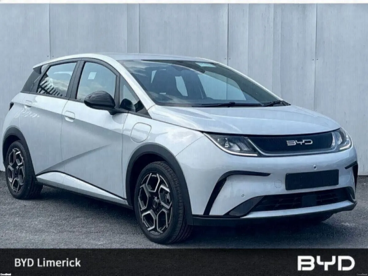 BYD DOLPHIN 1.0 - Image 1