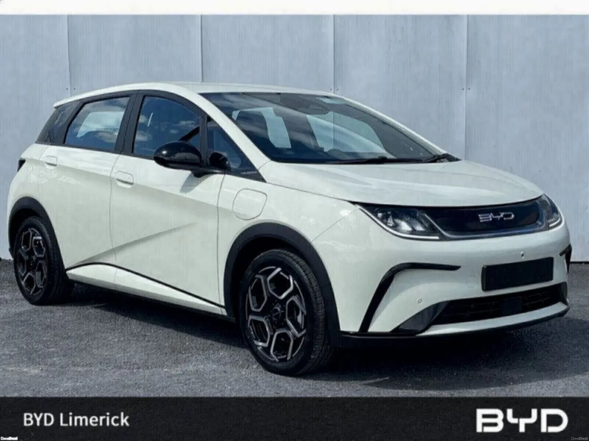 BYD DOLPHIN 1.0 - Image 1