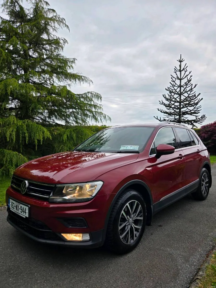 162 Tiguan - Image 3