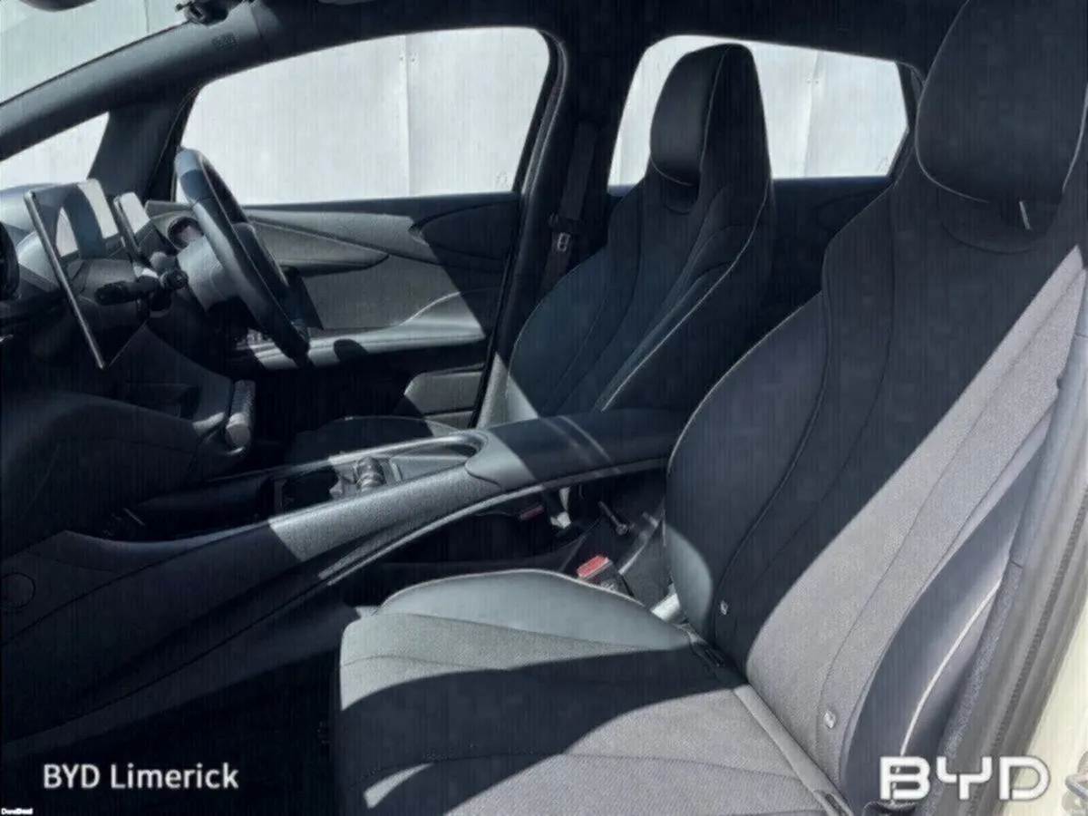 BYD DOLPHIN 1.0 - Image 4