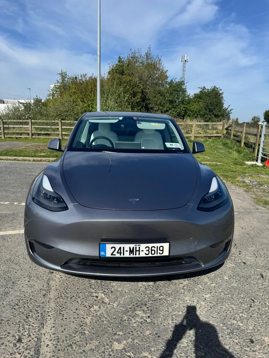 Tesla Model Y Performance - Image 2
