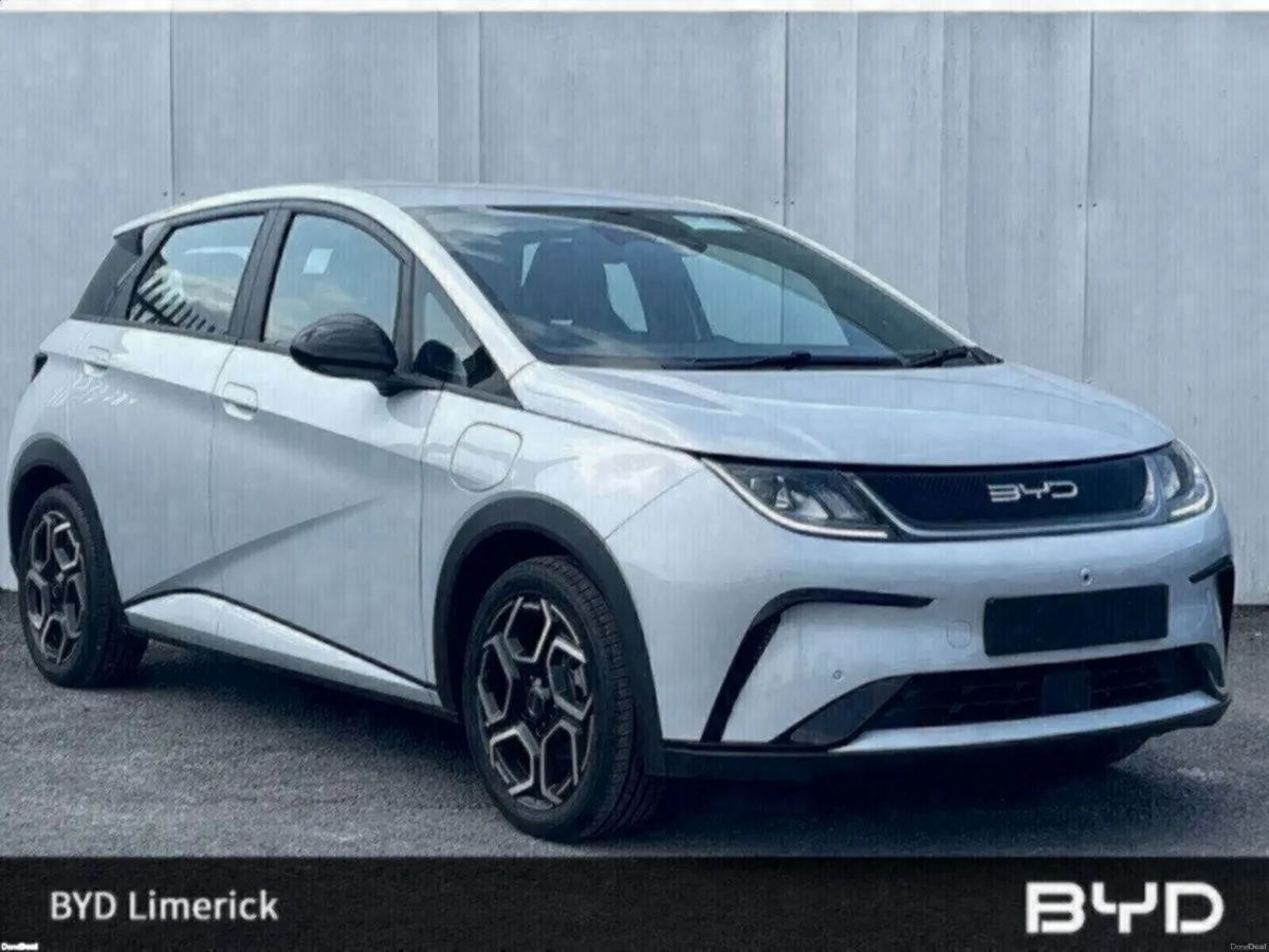BYD DOLPHIN 1.0 - Image 1