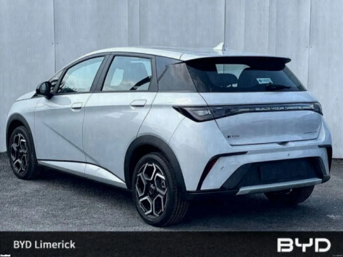 BYD DOLPHIN 1.0 - Image 3
