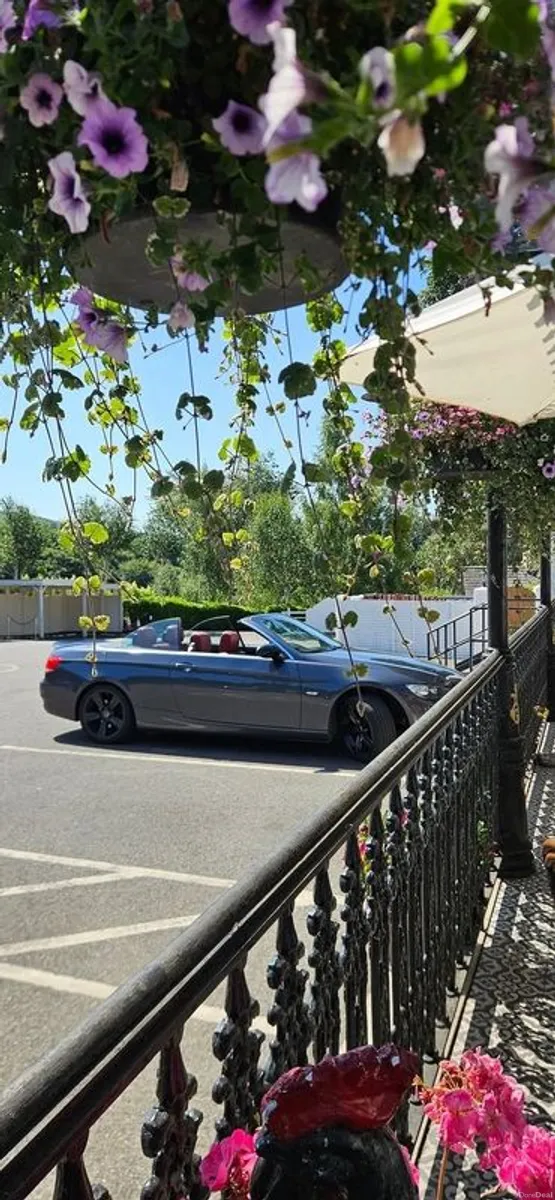 2009 Bmw 320 - Image 1