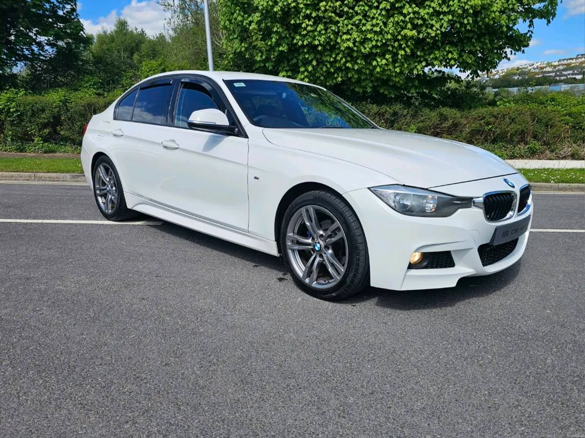 2015 BMW 318D MSPORT (Full 15mth NCT) - Image 3