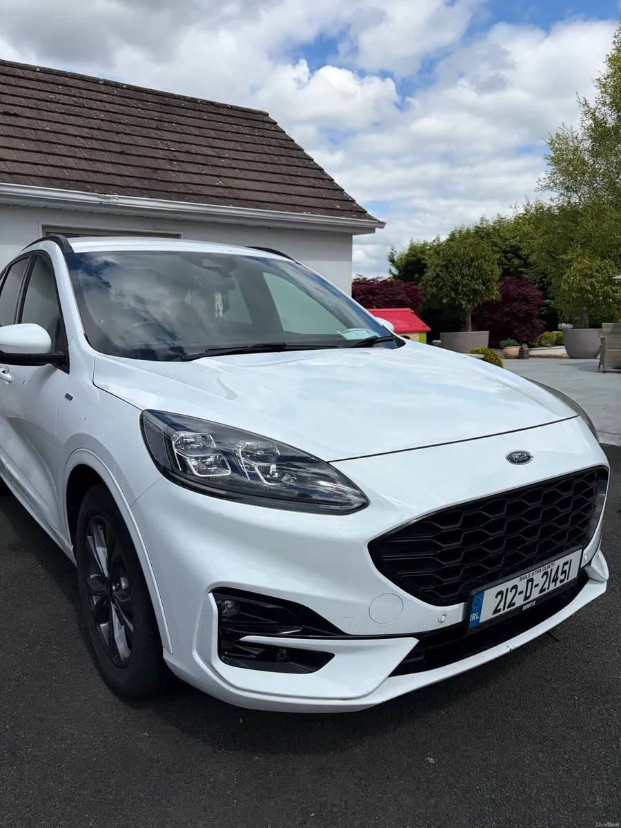 Kuga 2021 - Image 1