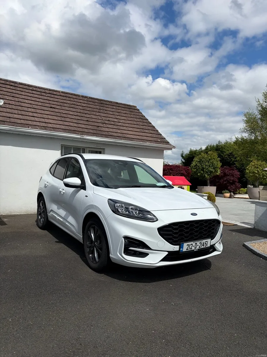 Kuga 2021 - Image 2