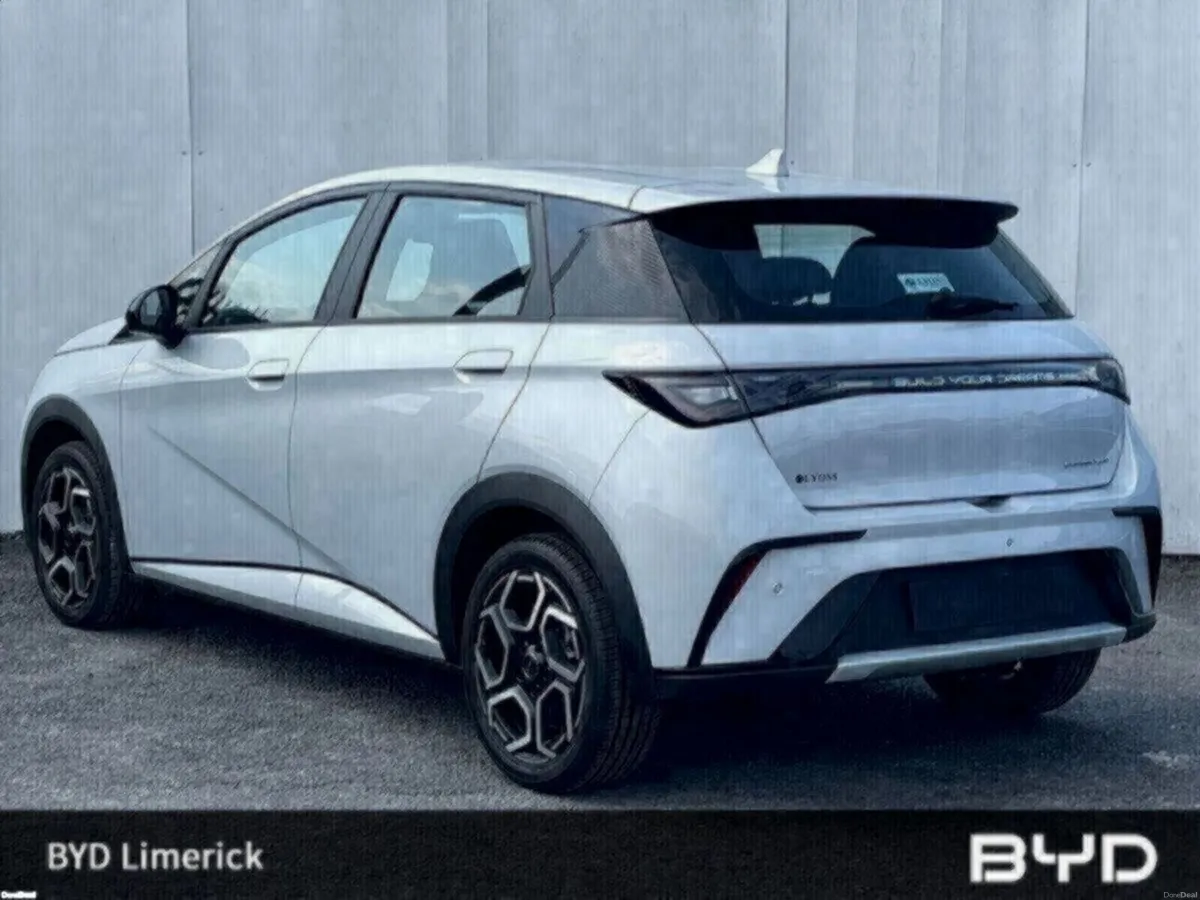 BYD DOLPHIN 1.0 - Image 3