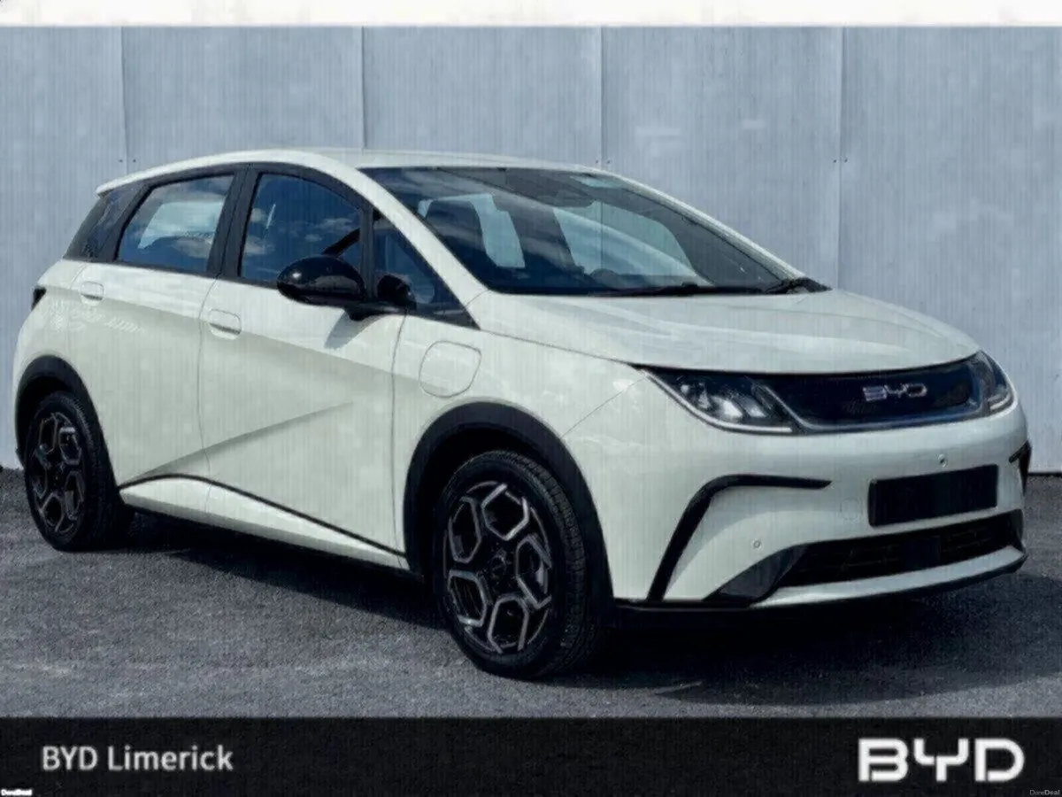 BYD DOLPHIN 1.0 - Image 1