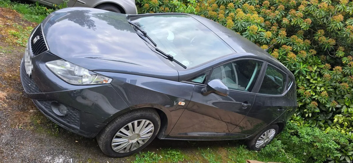 SEAT Ibiza 2010 - Image 1