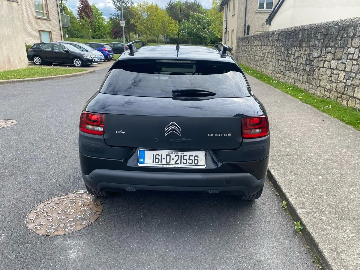 Citroen C4 Cactus - Image 2