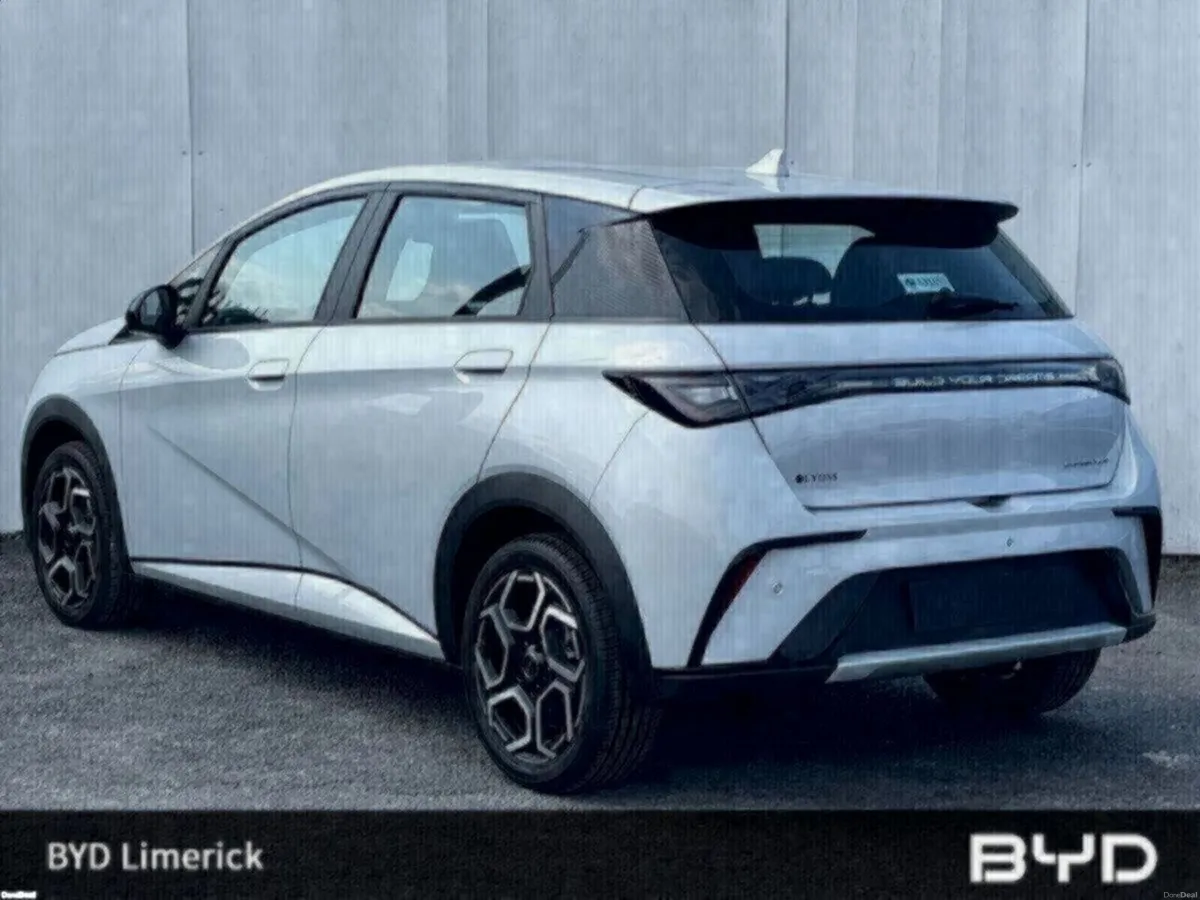 BYD DOLPHIN 1.0 - Image 3