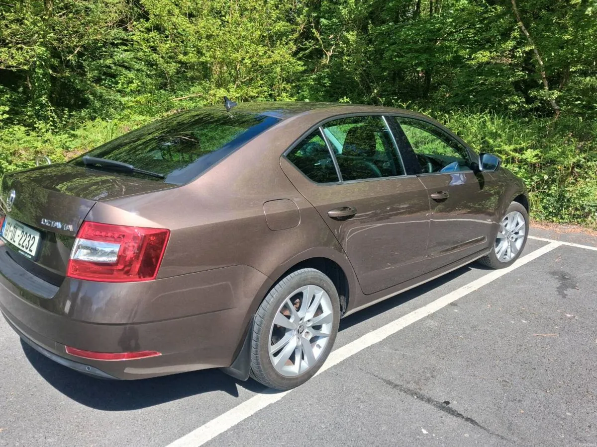 Skoda Octavia 2019  DSG 2.0 Diesel automatic - Image 2