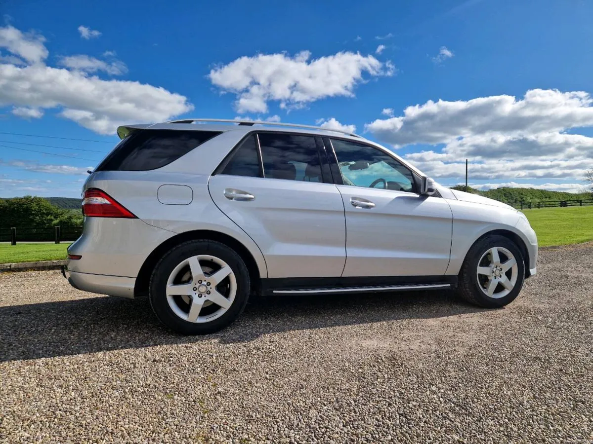2013 ML - Image 2