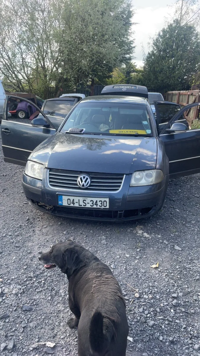 B5 Passat - Image 4