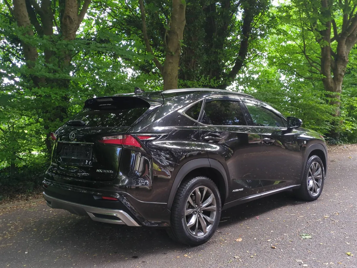 2015 Lexus NX300H Fsport * LOW KMS* - Image 4