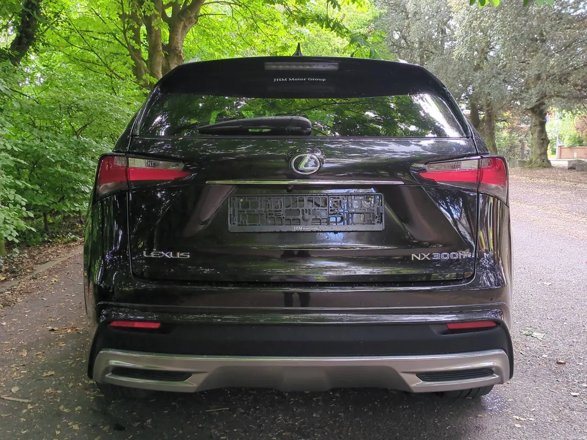 2015 Lexus NX300H Fsport * LOW KMS* - Image 3