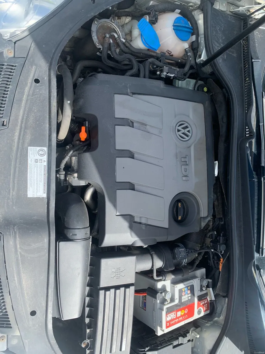 Jetta - Image 4