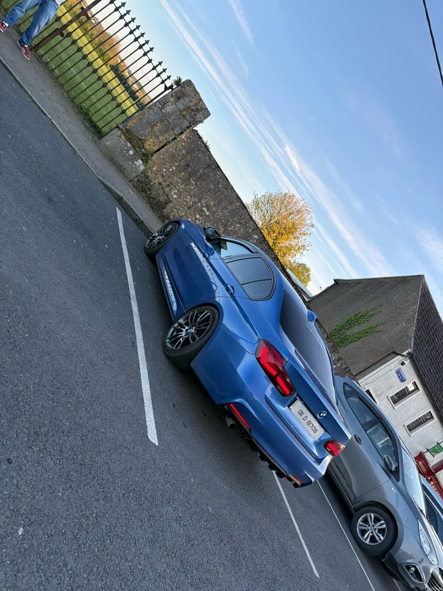 BMW 318d f30 - Image 2