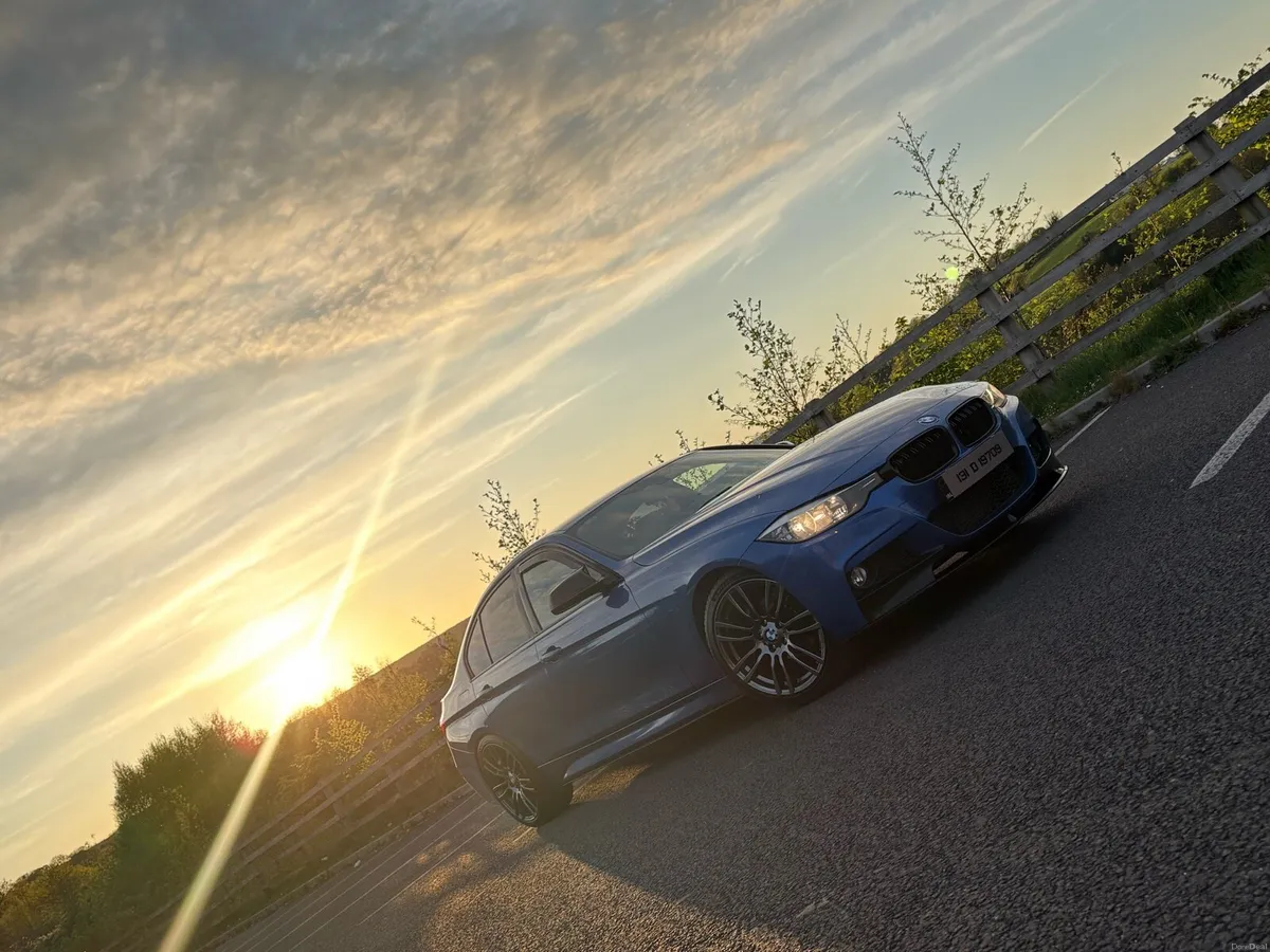 BMW 318d f30 - Image 3