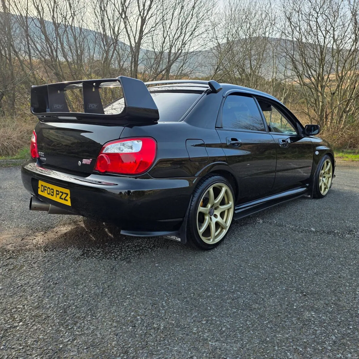 STI - Image 4