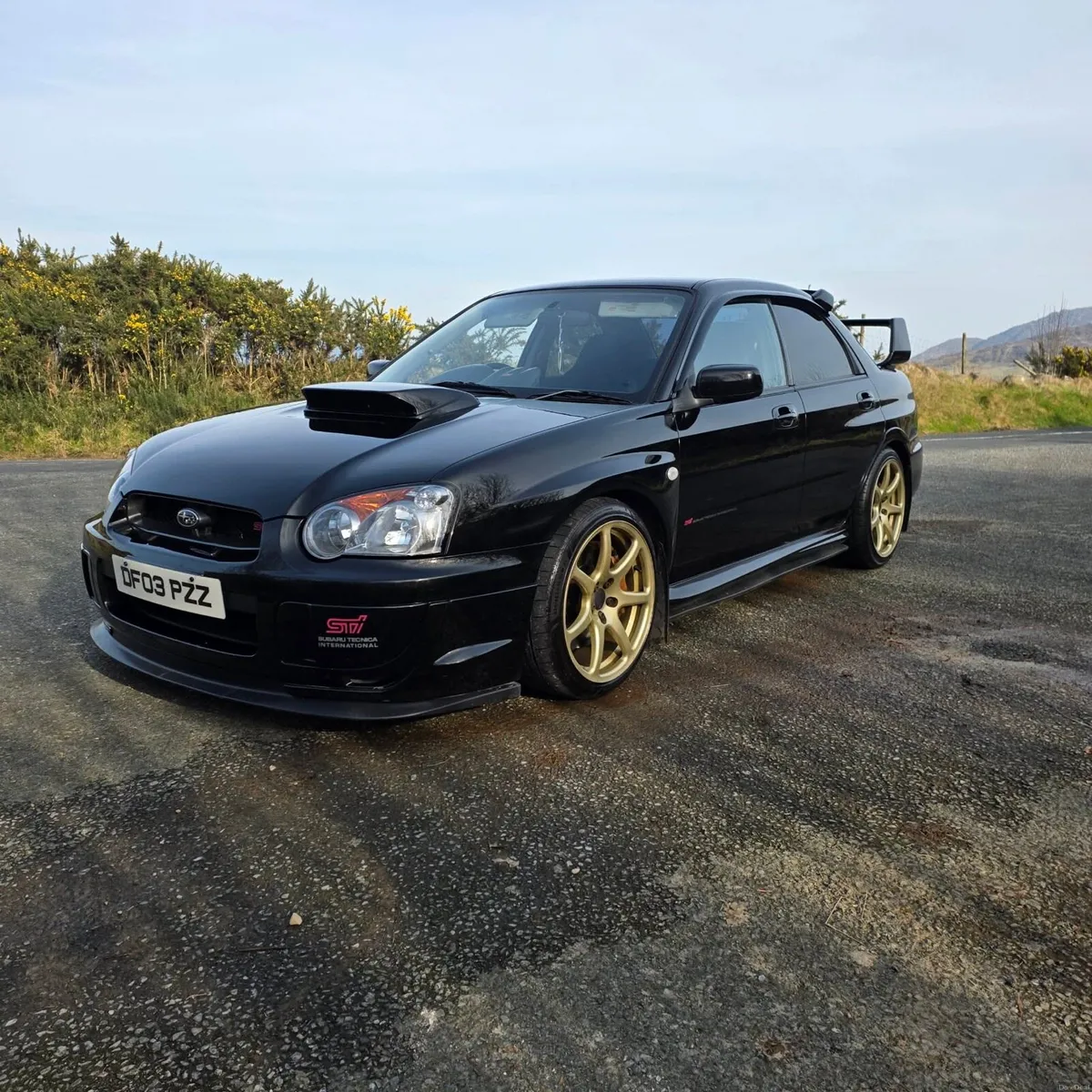 STI - Image 2