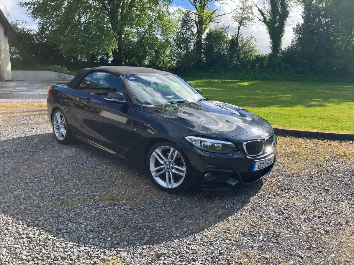 BMW 220 M Sport Convertible - Image 2