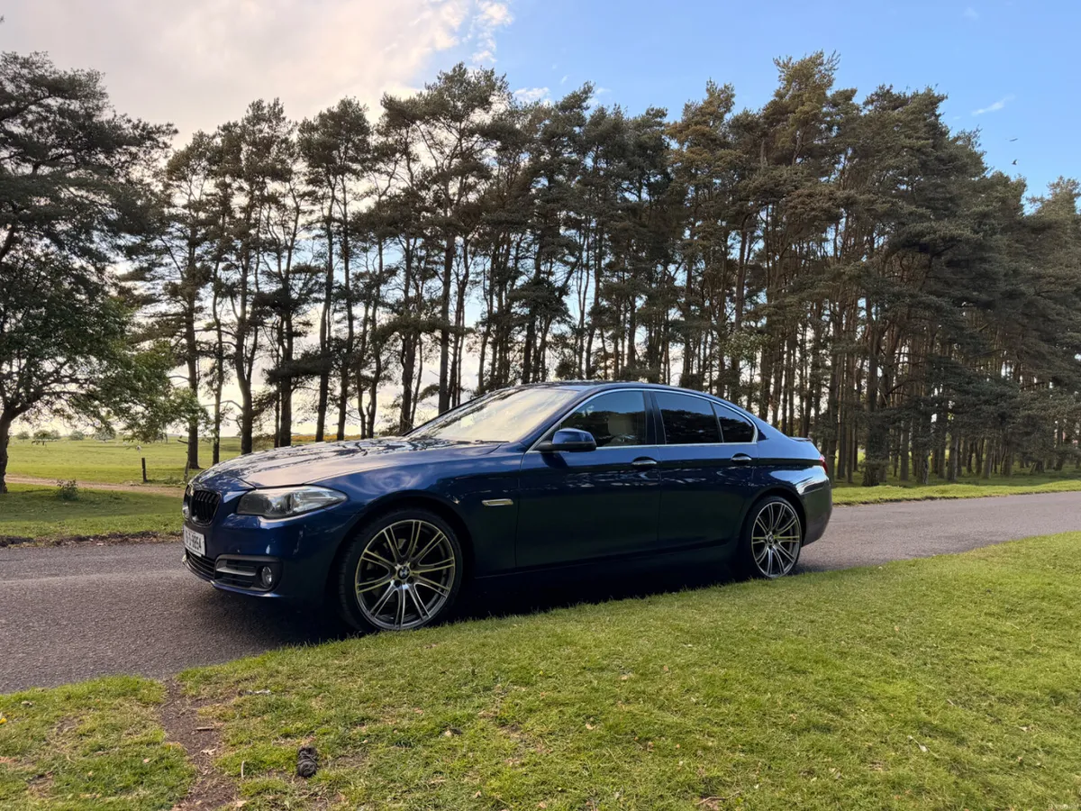 BMW 5-Series 2016 Diesel - Image 3