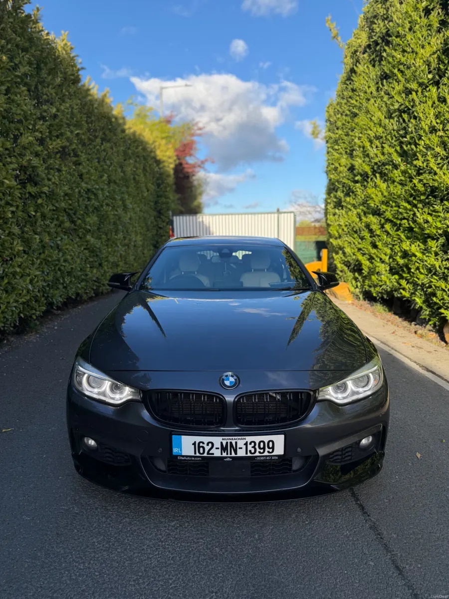 2016 BMW 420d M SPORT - Image 2
