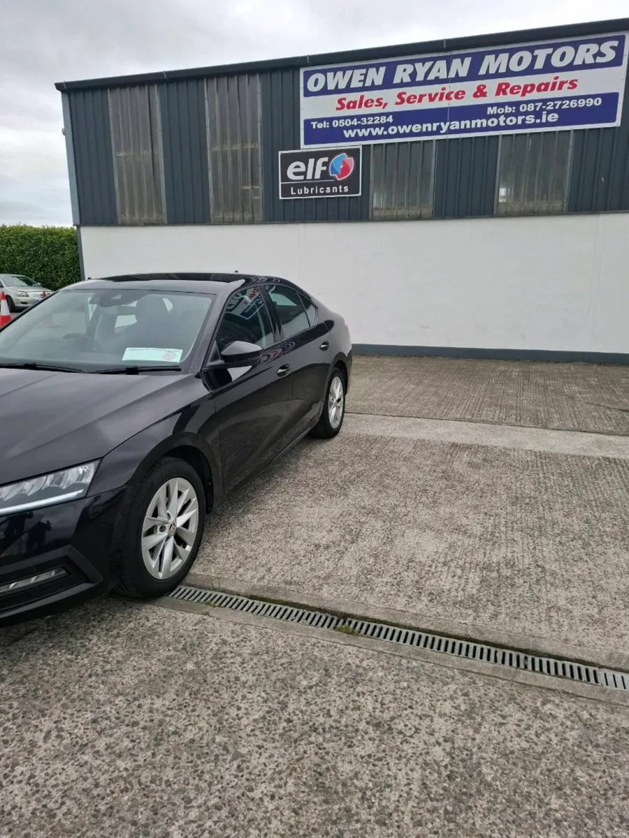 SKODA OCTAVA 2024 2.0 TDI @ OWEN RYAN MOTORS - Image 2