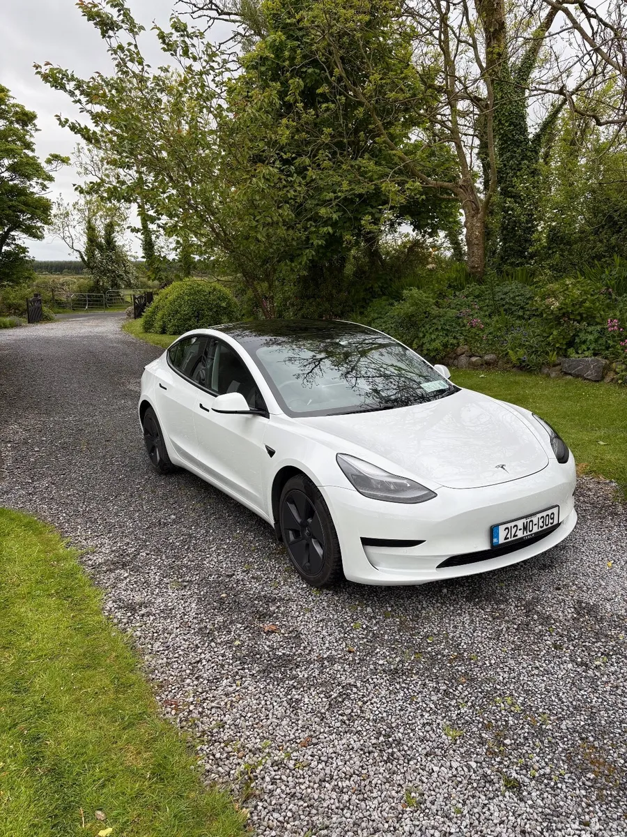 2021 Tesla Model 3 RWD - Image 1