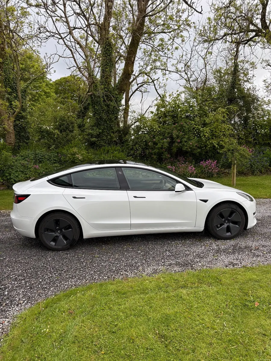 2021 Tesla Model 3 RWD - Image 4