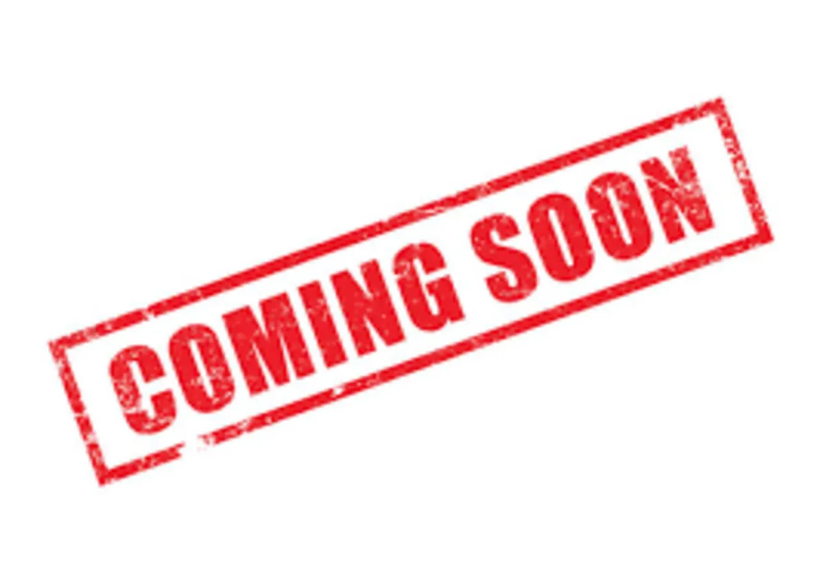 161 VW Passat 2.0 TDI - Immaculate - Image 1
