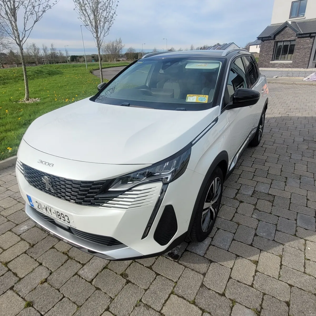 Peugeot 3008 2021 - Image 2